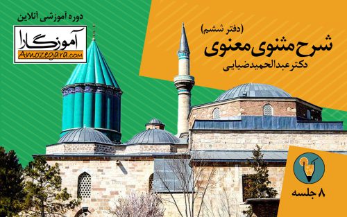 شرح مثنوی معنوی _ دکتر ضیایی